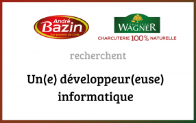 Un(e) développeur(euse) informatique