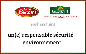 Un(e) Responsable Sécurité - Environnement